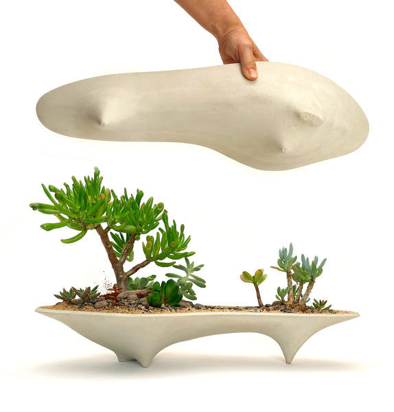 Modern Planter