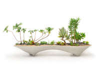 Twin Island Planter, concrete modern planter | great for mini garden & bonsai garden