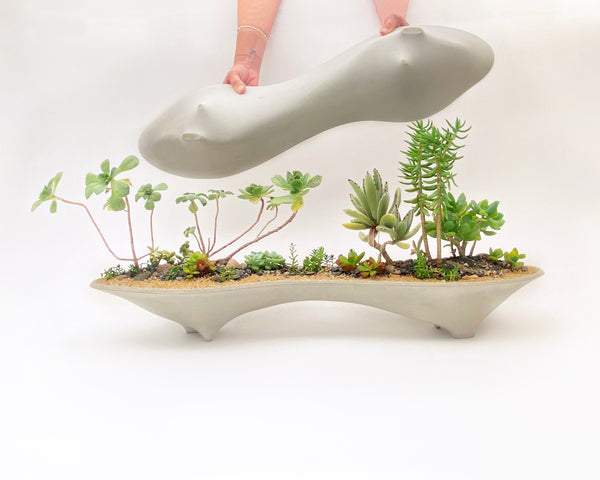 Twin Island Planter, concrete modern planter | great for mini garden & bonsai garden