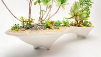 Twin Island Planter, concrete modern planter | great for mini garden & bonsai garden